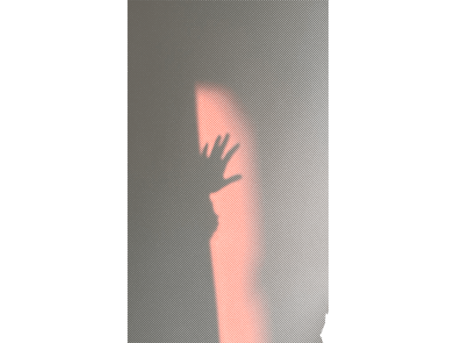 Color Image 5