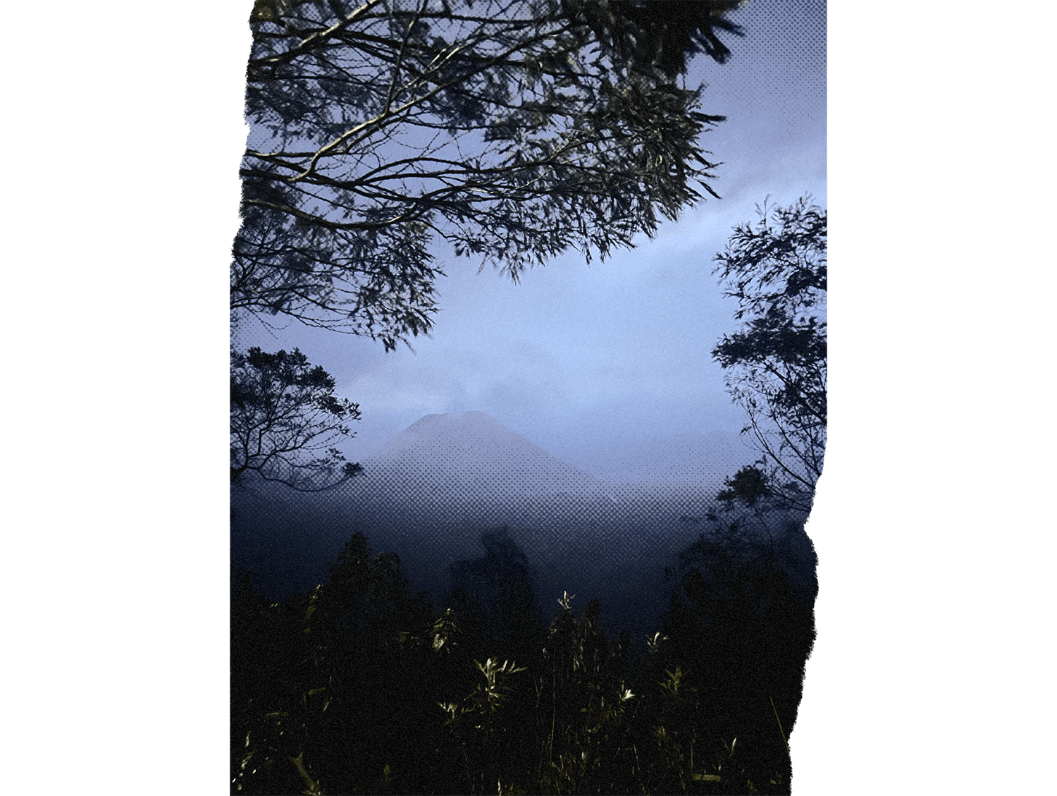 Color Image 6